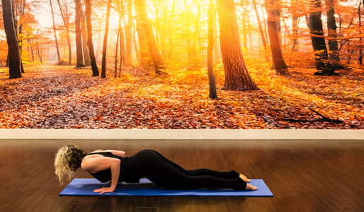 Image of woman doing low plank yoga move